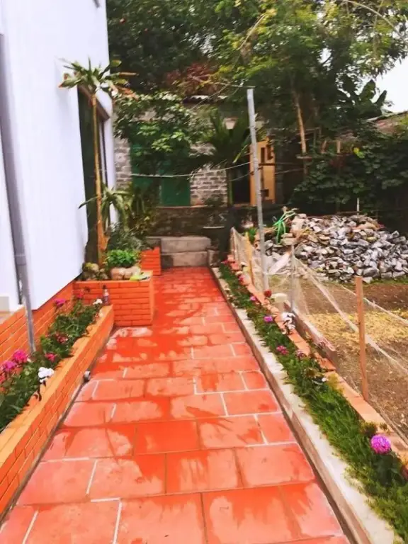Хайфон: D'Home Homestay Cat Ba