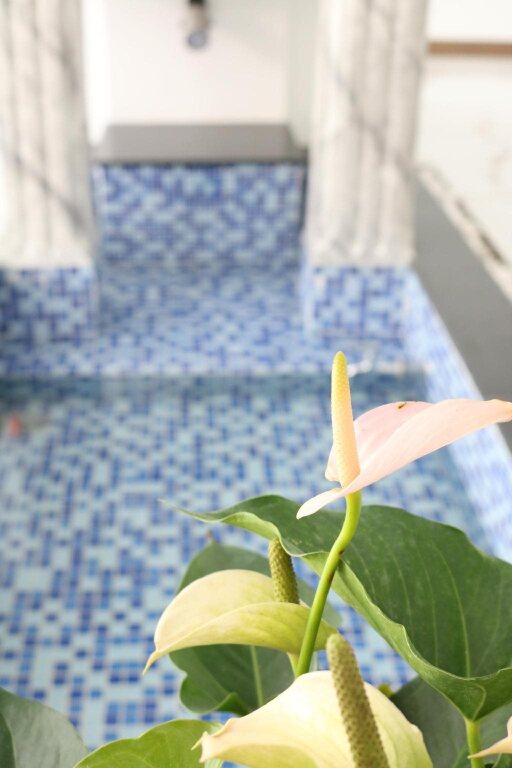 Куинён: Phuong Dong Hotel & Apartment