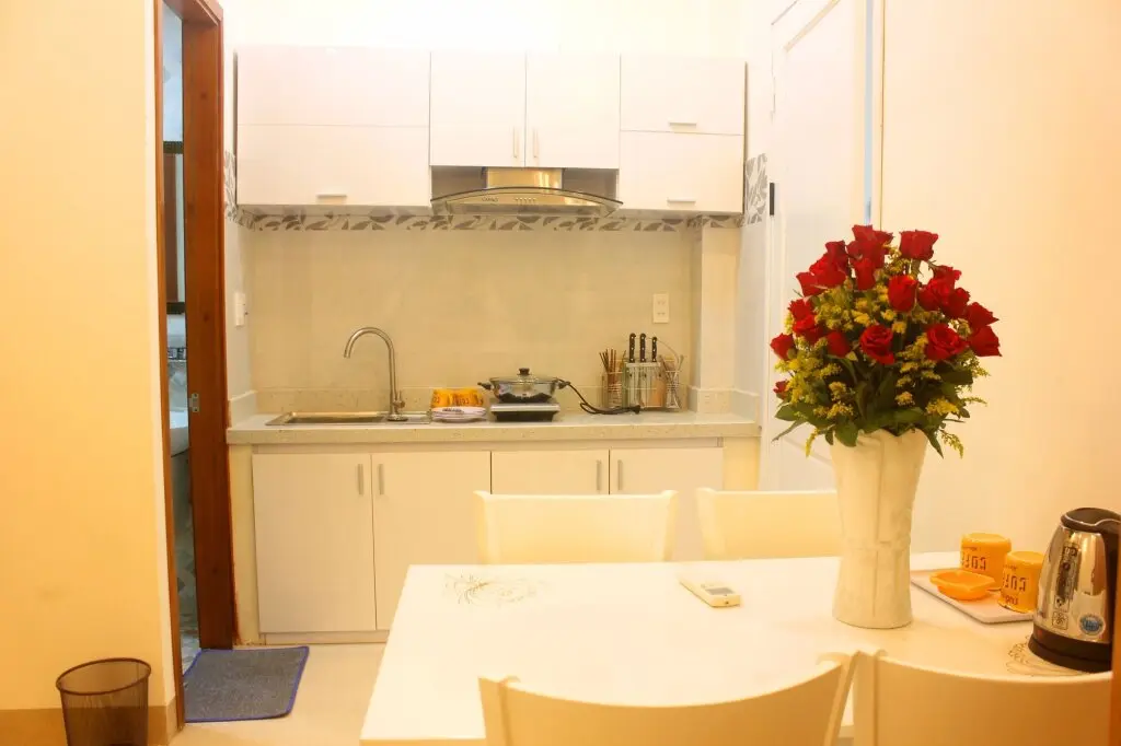 Дананг: Twins Apartment