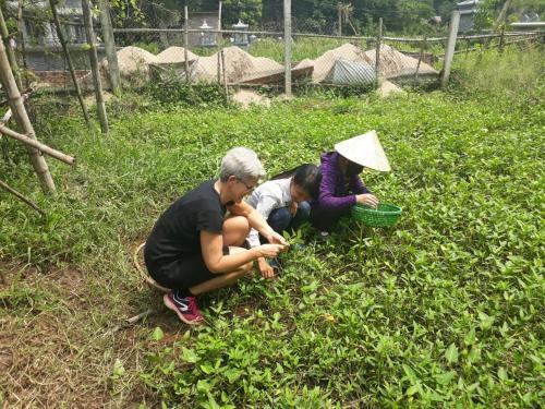 Хоа Лу: Amira Homestay