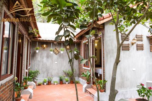 Хоа Лу: Amira Homestay