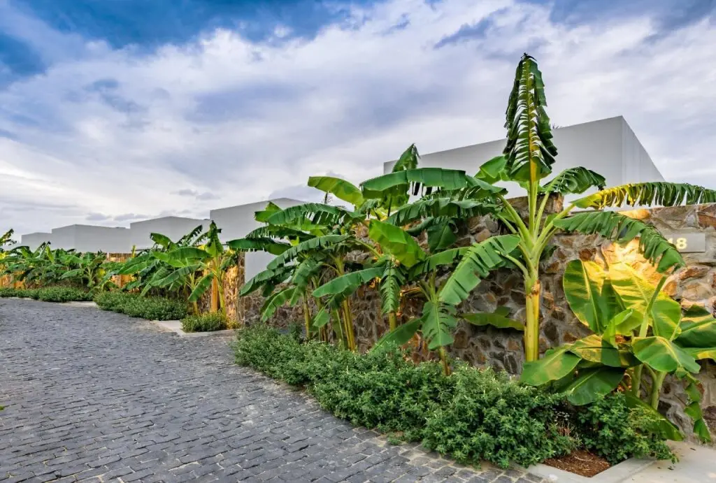 Шонгкау: Que Toi Village Resort Phu Yen