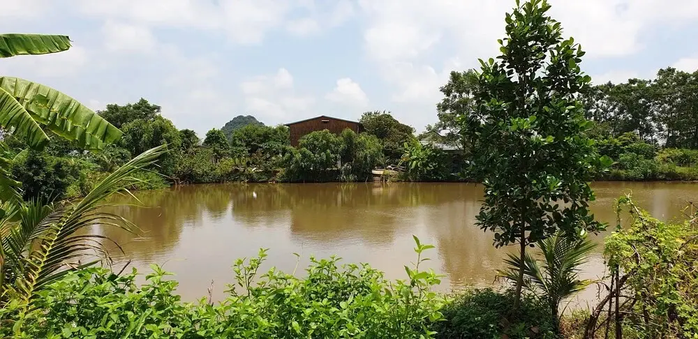 Хоа Лу: Tuyet's Homestay