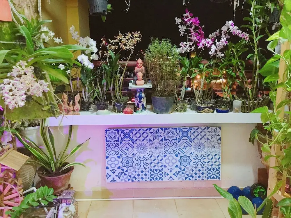 Homestay at Dream House — фото 1