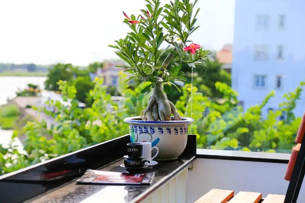 Хойан: The Art - Big Sea Villa Hoi An Riverside