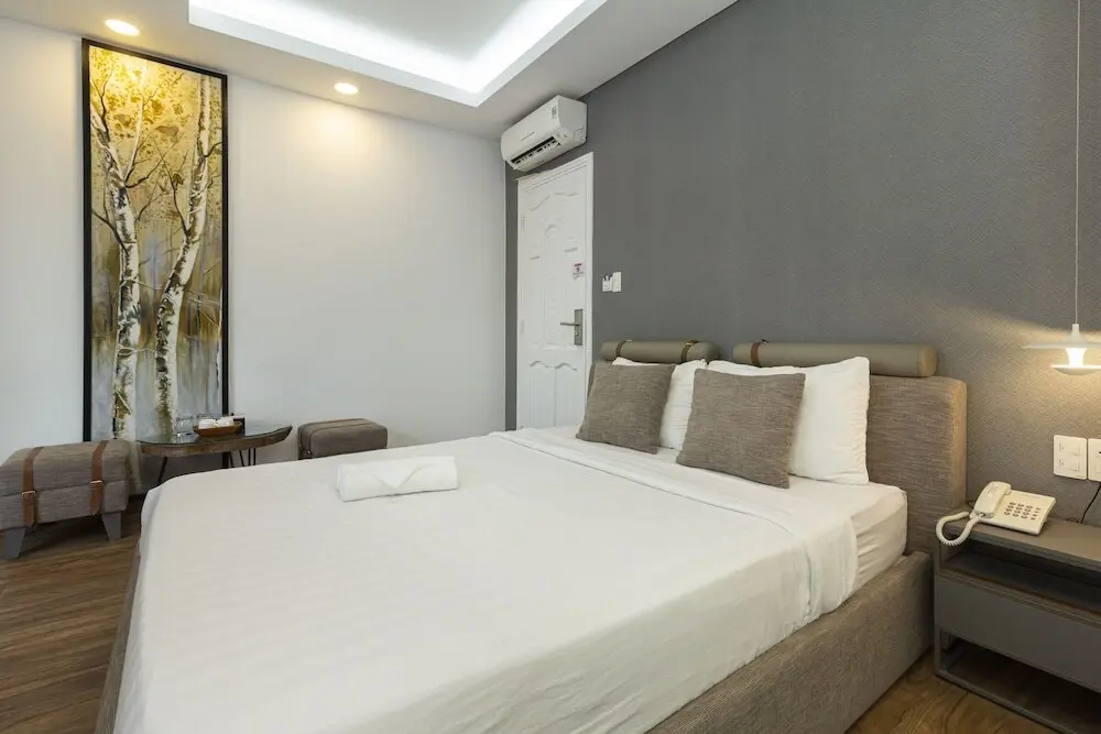 Хошимин: Thien Truong Hotel