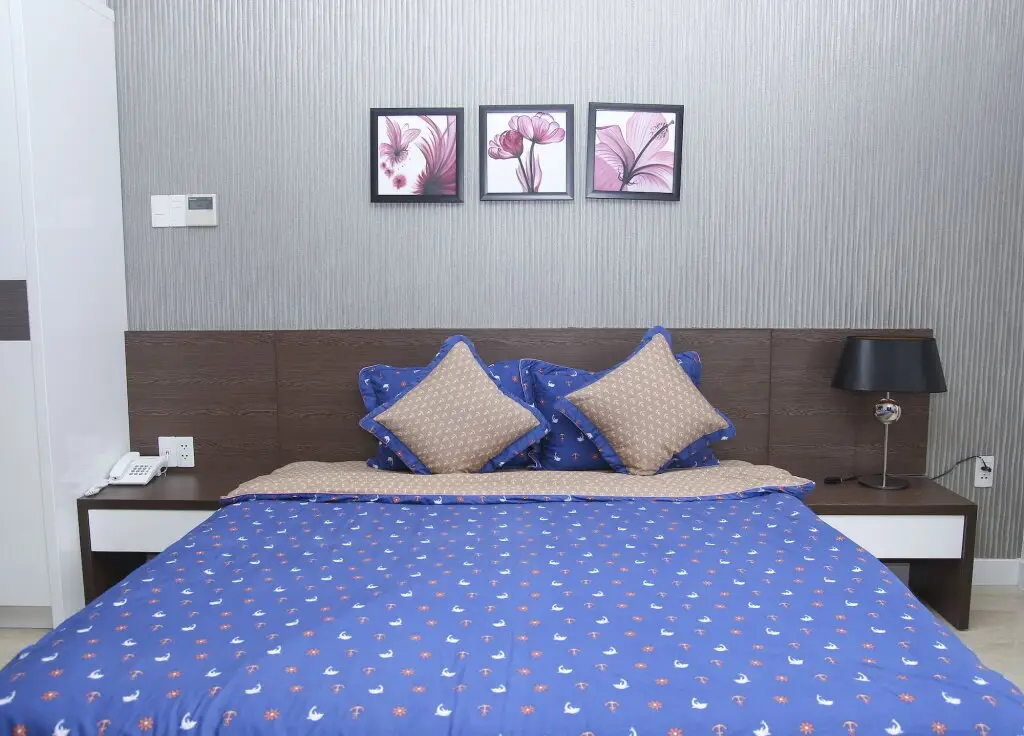 Хошимин: Sunny Serviced Apartment