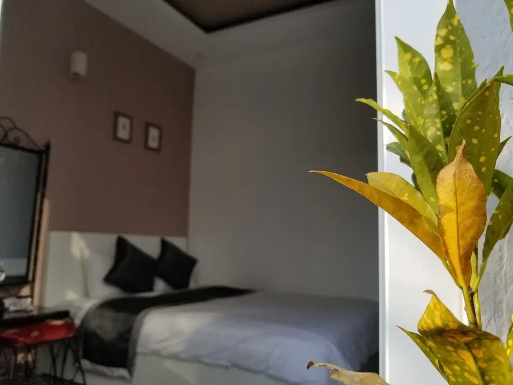 Далат: RiBe's House