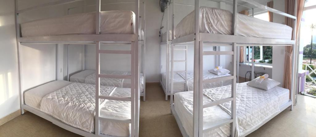 остров Фукуок: Purple Place Homestay - Hostel