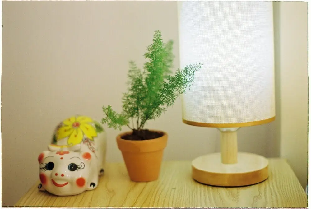 Далат: Cobe Homestay 1
