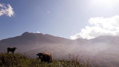 Шапа: Surelee Homestay