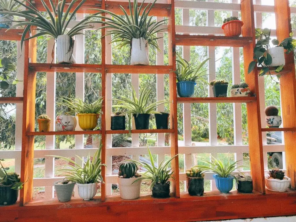 Фантхьет: Doi Dua Homestay