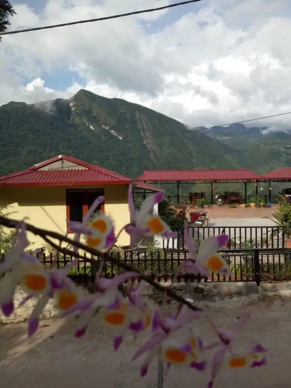 Шапа: Sau Meo Homestay