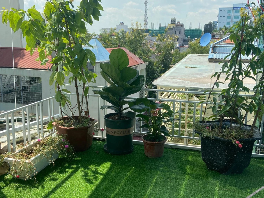 Хайфон: Haiphong Backpacker Hostel