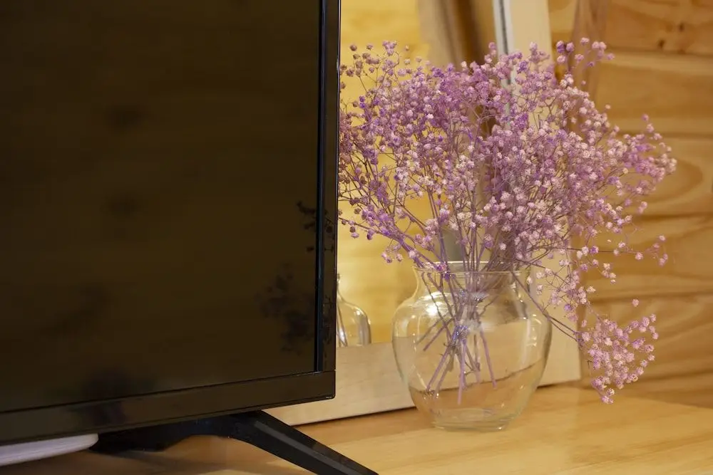 Хошимин: Forget Me Not Homestay