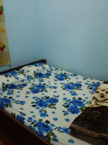 Далат: Dalat Chocolate Homestay