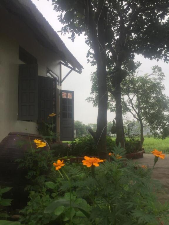 Хоа Лу: Ninh Binh Village 1990 Homestay - Hostel