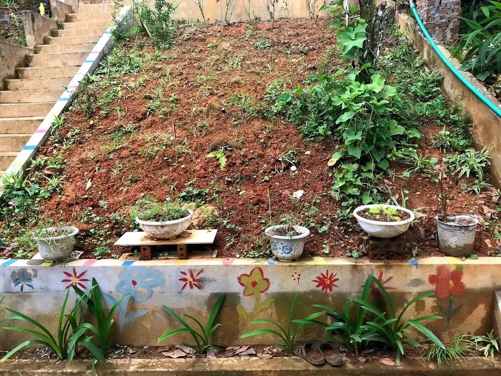 Шапа: The Hill Sapa Homestay