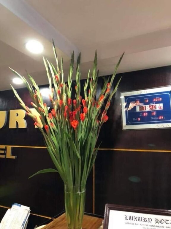 Хайфон: Luxury Hotel