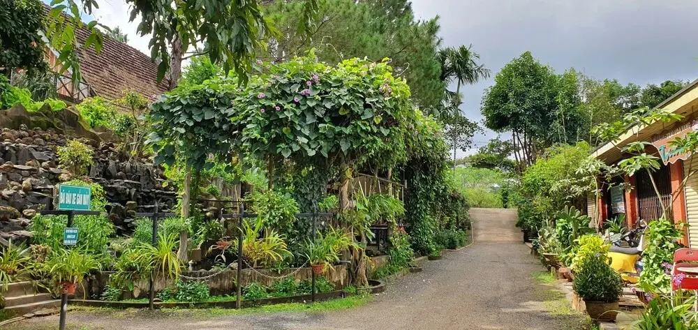 Плейку: Tithonia Homestay