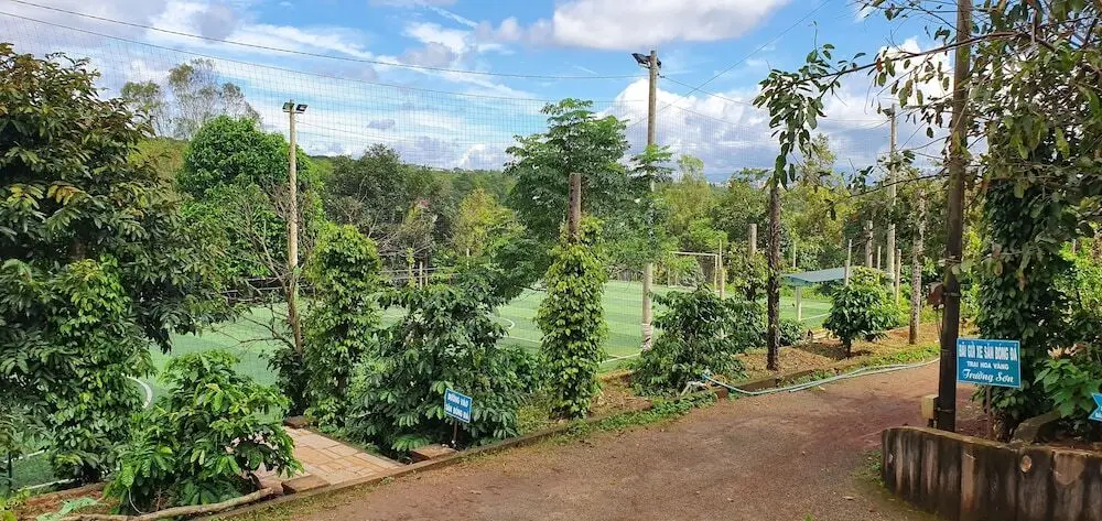 Плейку: Tithonia Homestay