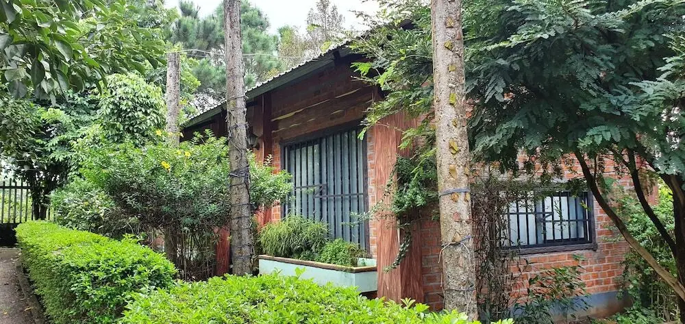 Плейку: Tithonia Homestay
