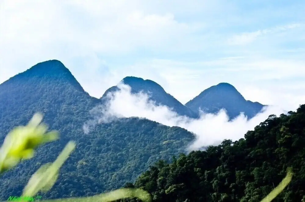 Там-Дао: Zo Boutique House Tam Dao Hostel