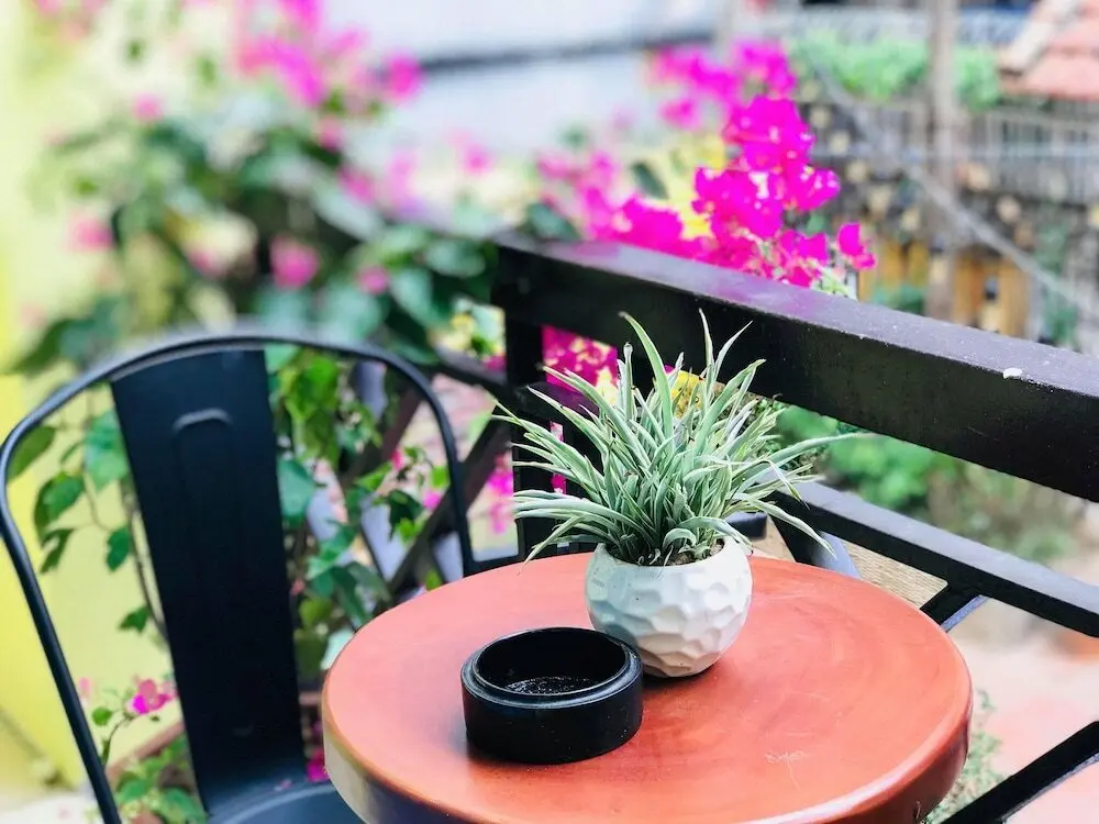 Ханой: Alley Garden Homestay