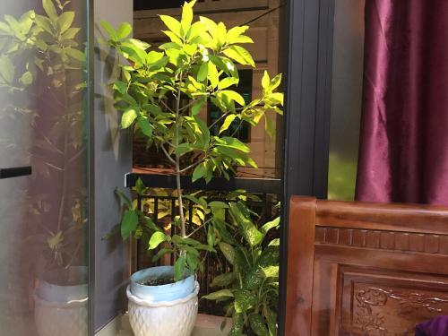 Куинён: Lavender Hotel Quy Nhơn