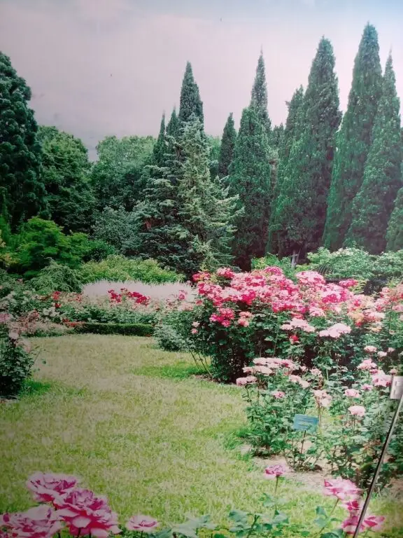 Куинён: Lavender Hotel Quy Nhơn
