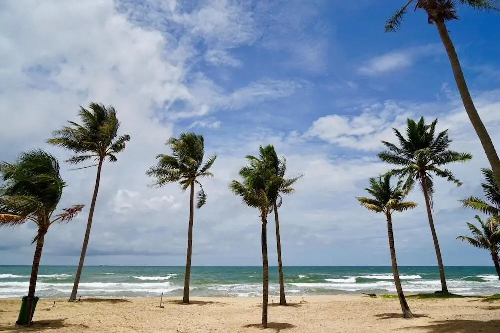 остров Фукуок: Stork Phu Quoc Homestay - Hostel