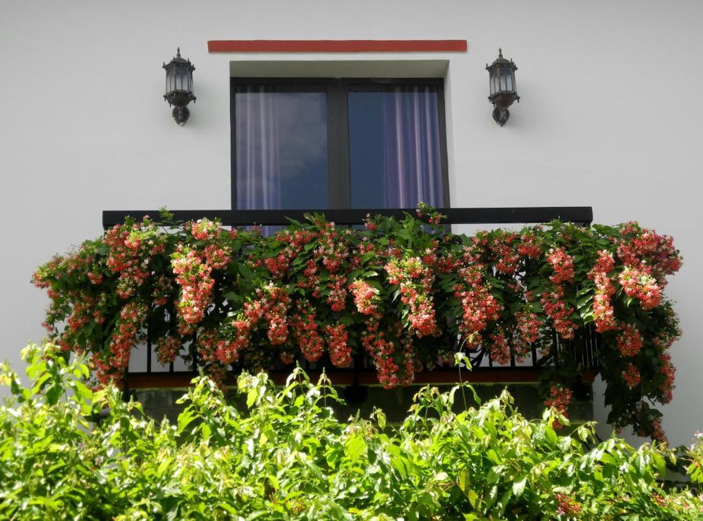 Hoian Aroma Villa — фото 1