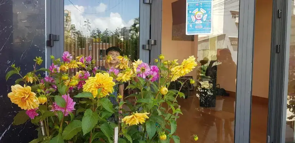 Дананг: Mango Mango Hotel & Apartment
