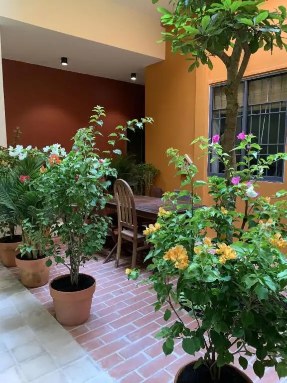 Бакльеу: Chi Hieu Homestay