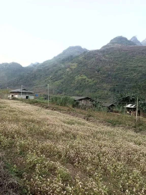Хазянг: Du Gia Waterfall Hostel & Homestay