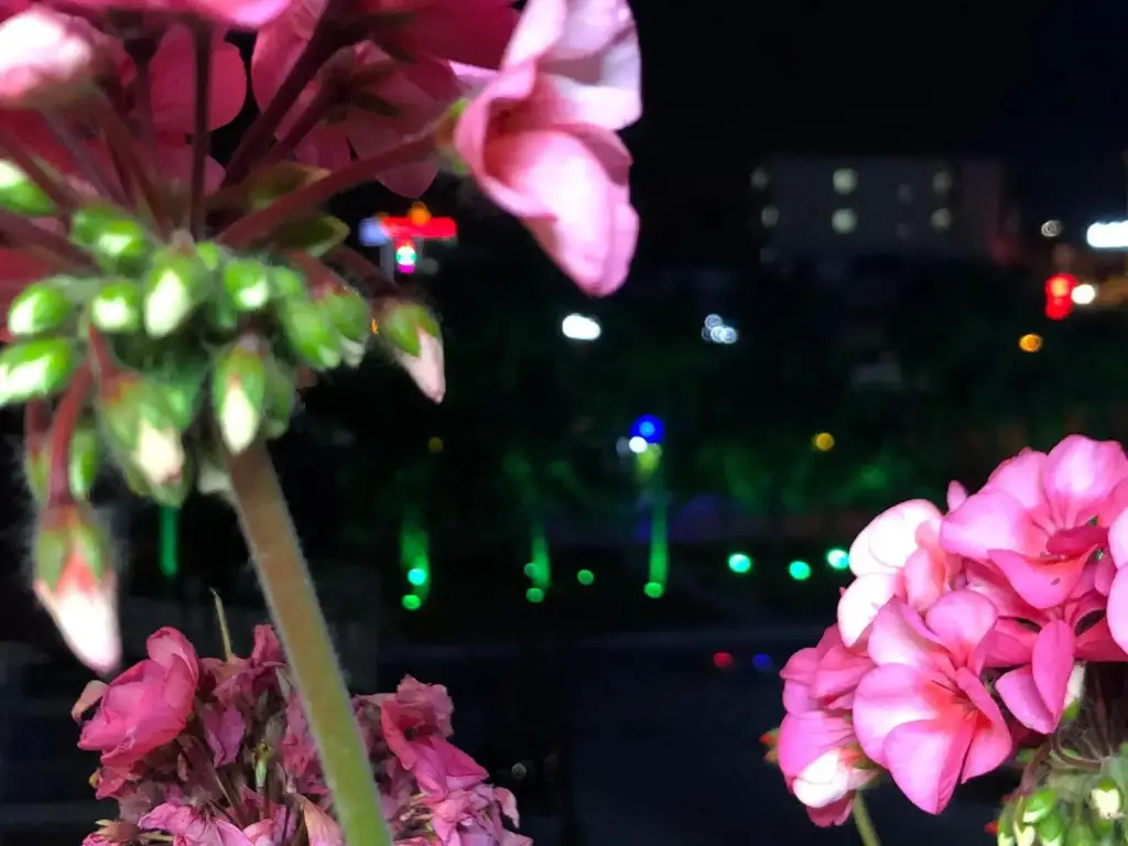 Халонг: Babylon Ha Long Hotel