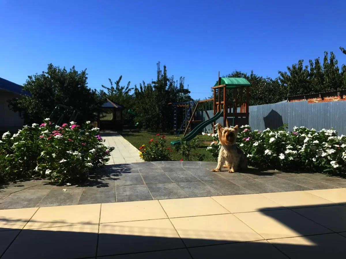 Кучугуры: Guest house Lazurnyy