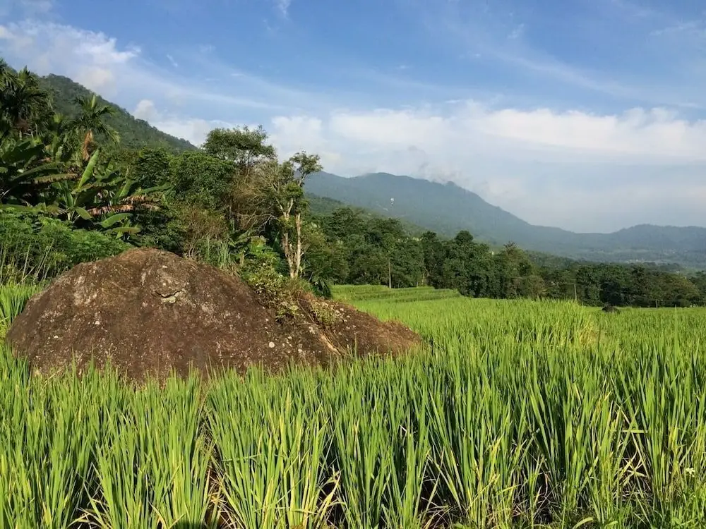 Маи-Чау: Pu Luong Boutique Garden