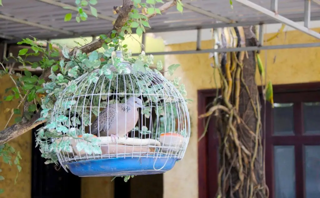Фантхьет: Garden Homestay