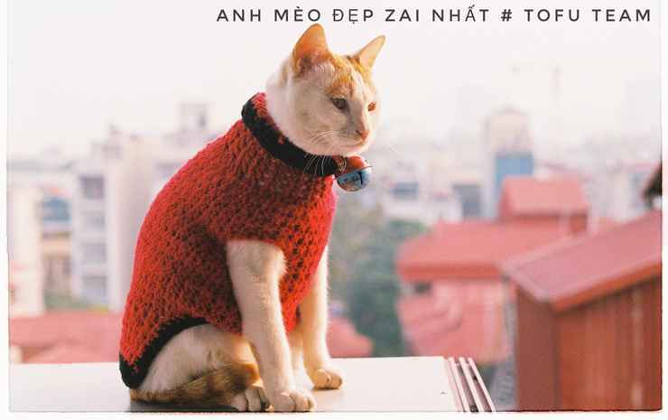 Ханой: Tofu's House - A place called Home