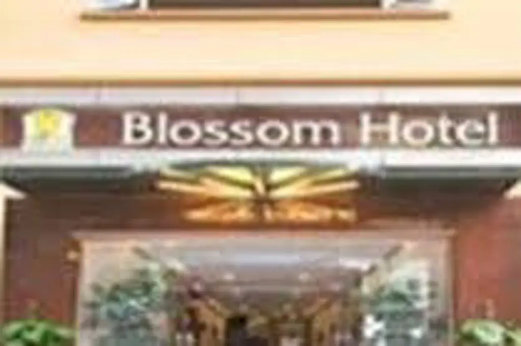Ханой: Blossom