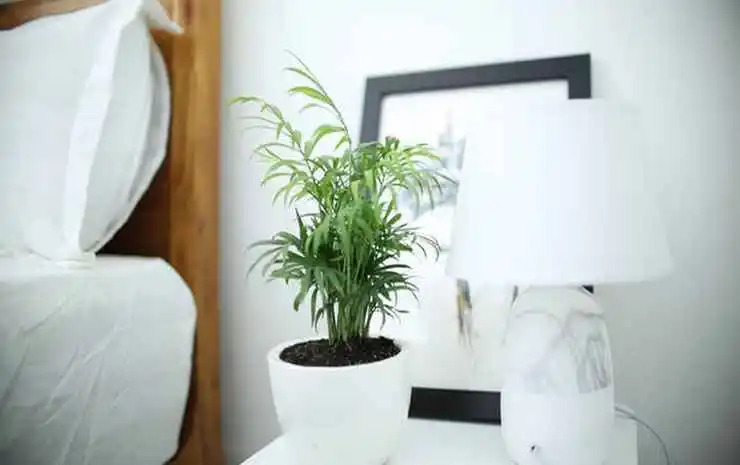 Хошимин: M&K Signature Homestay in 2016 Private Room
