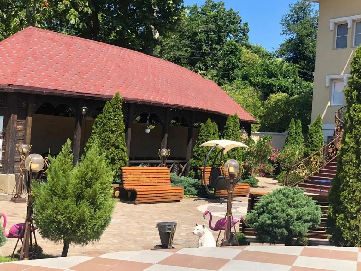 Сочи: Guest House Amfora