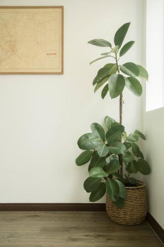 Хошимин: Nap Hostel Saigon