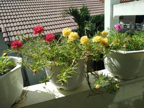 Фантхьет: Mũi Né Thanh Trúc Guest House