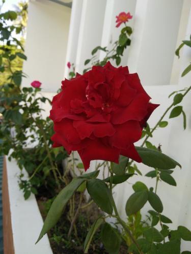 Фантхьет: Mũi Né Thanh Trúc Guest House