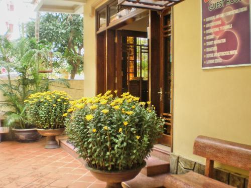 Canh Tien Guest house — фото 1
