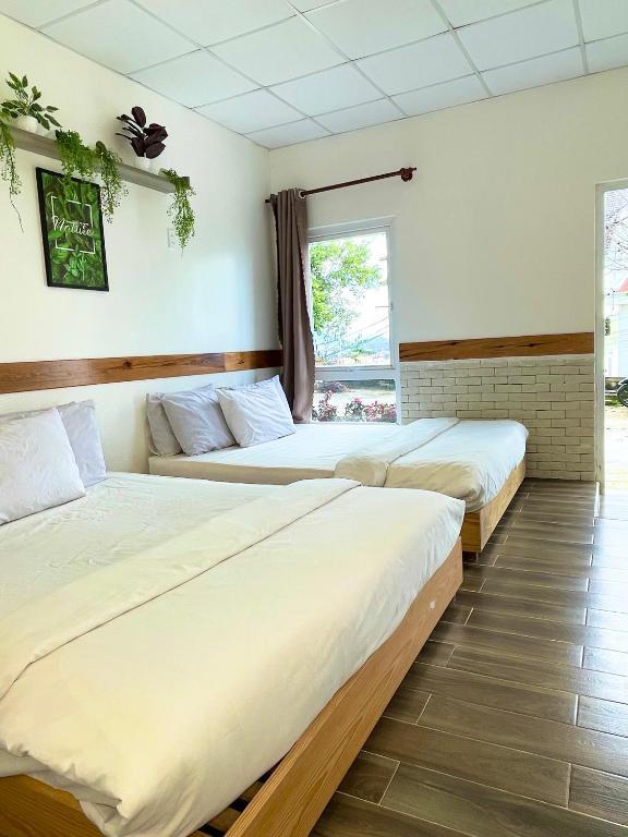 Далат: Dalat Topview Homestay
