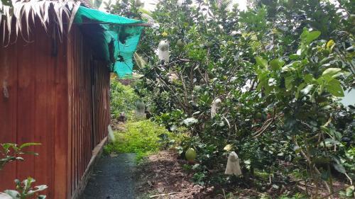 Митхо: Nam Binh Homestay