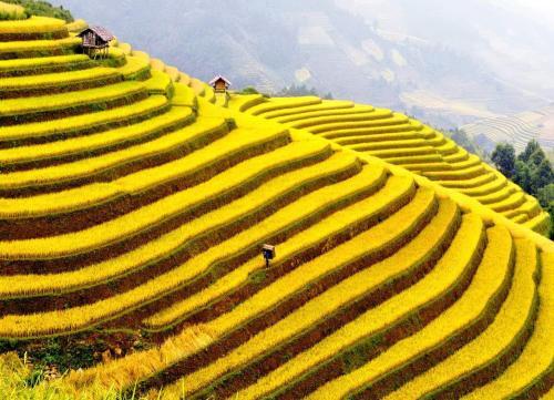 Хазянг: Royal Hotel Ha Giang